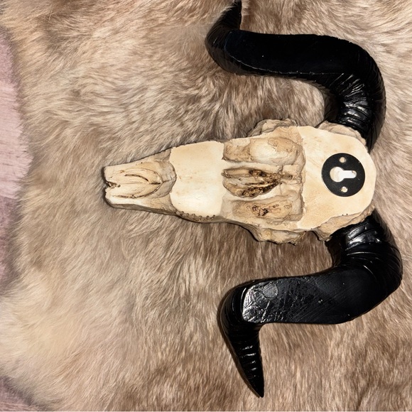 Decorative Resin Ram Skull - Black and Cream - Picture 2 of 4
